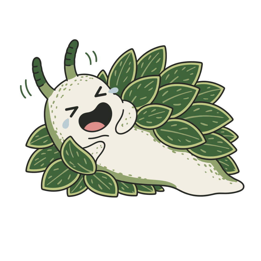 Nori Leaf Sheep Sea Slug
